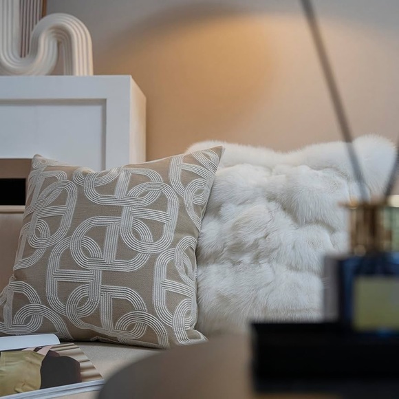 Throw Pillow $ 55 for two insert is included - Picture 3 of 9